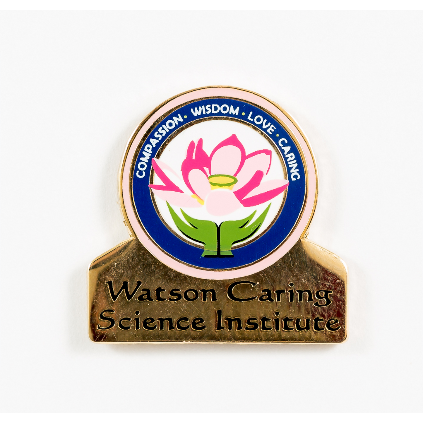 WCSI Pin