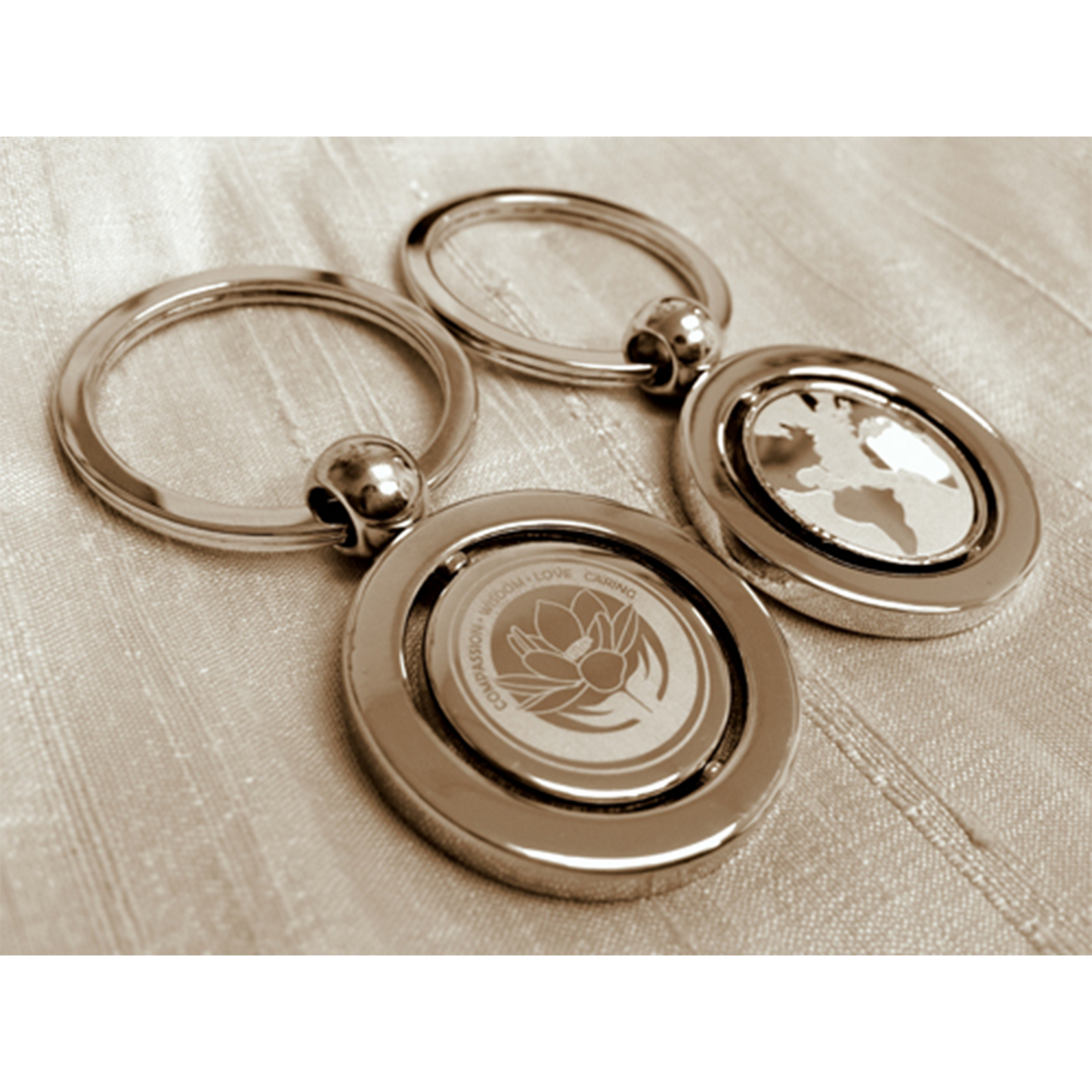 Watson Caring Science Key Ring