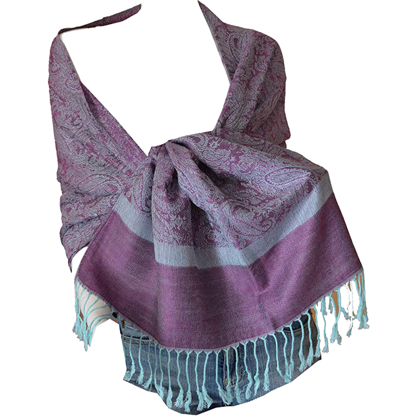 Pashmina Shawls