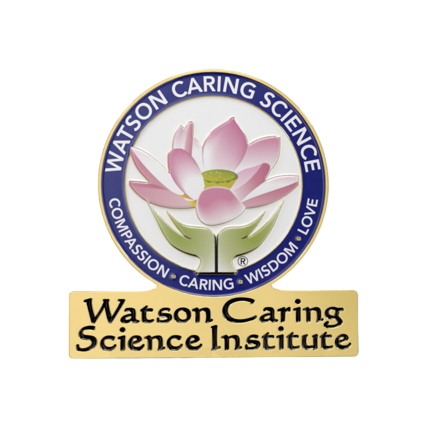 WCSI Logo Pin