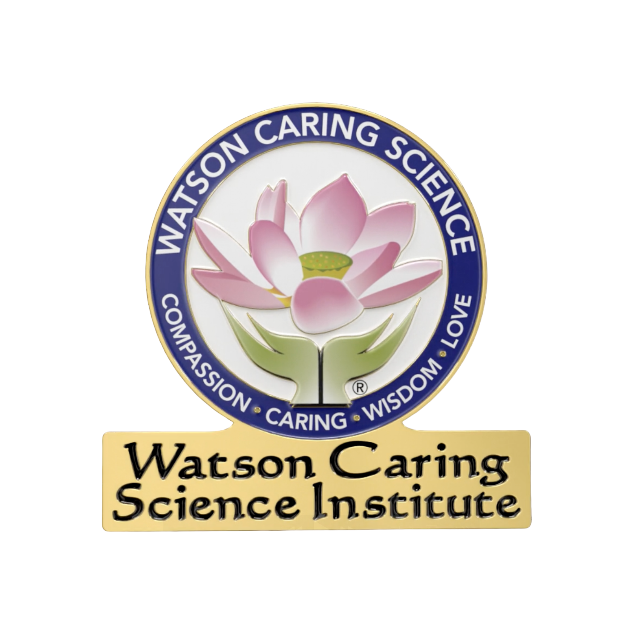 WCSI Logo Pin