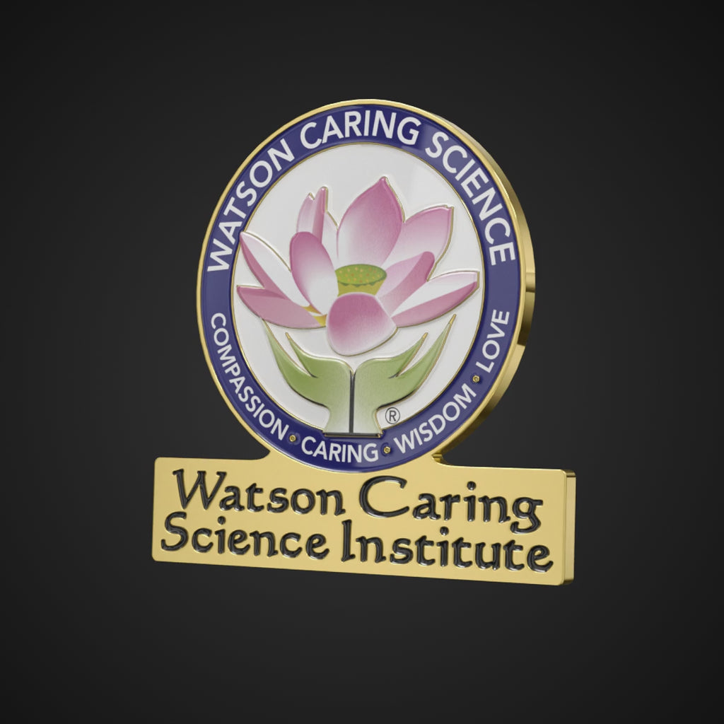 WCSI Logo Pin
