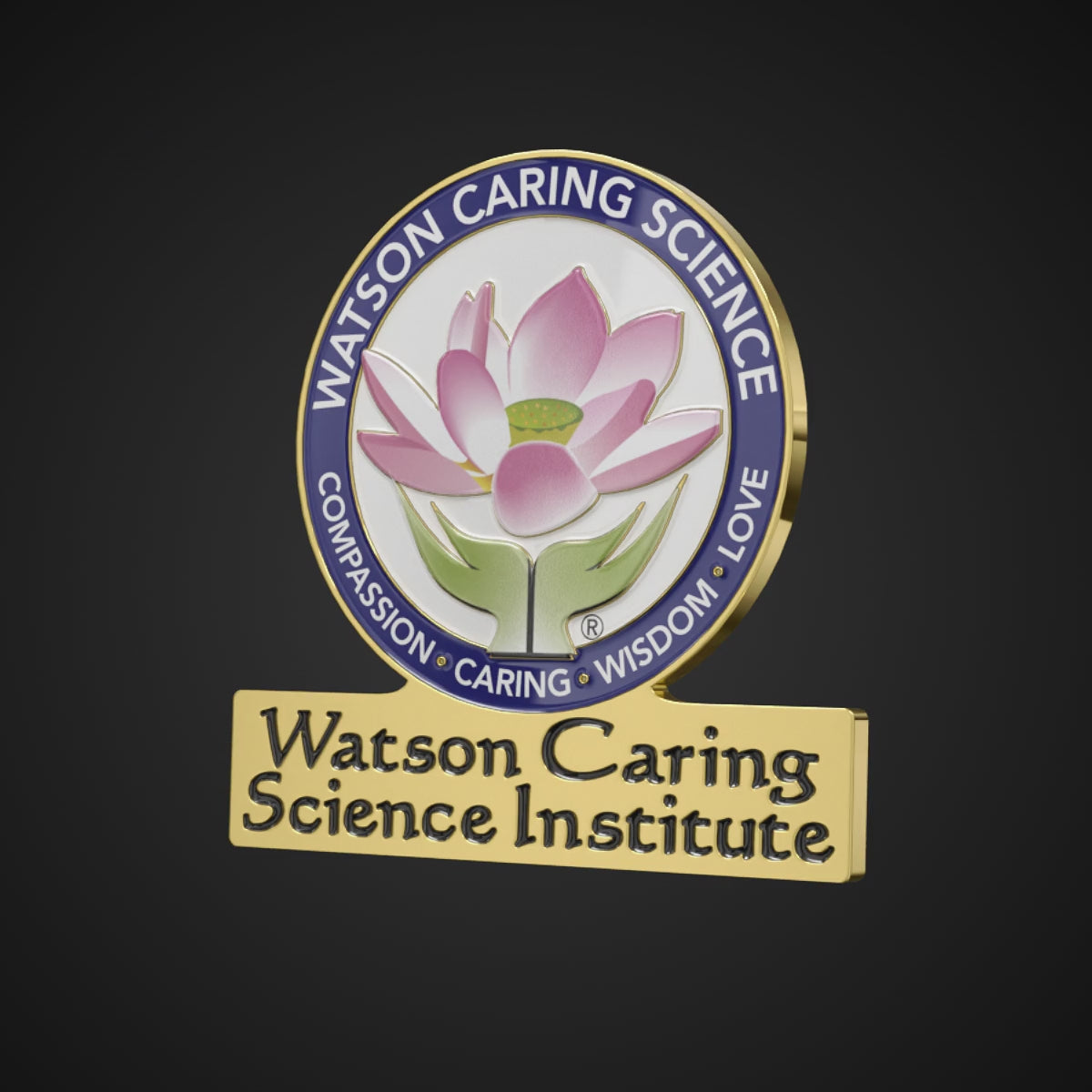 WCSI Logo Pin