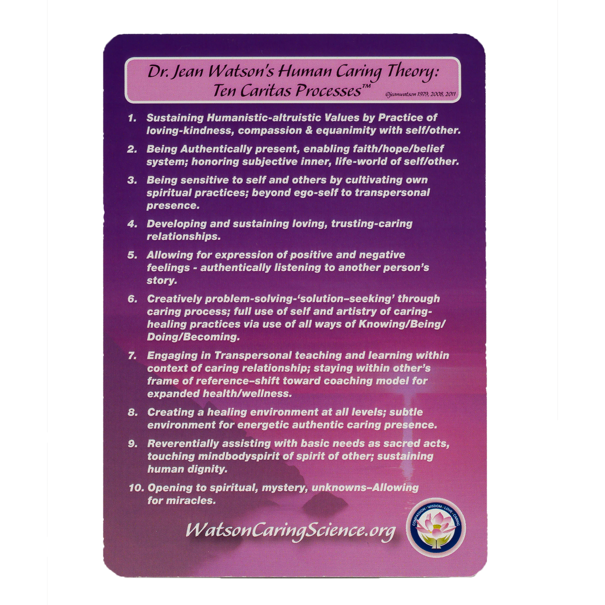 Ten Caritas Processes® Poster – WCSI Caring Store