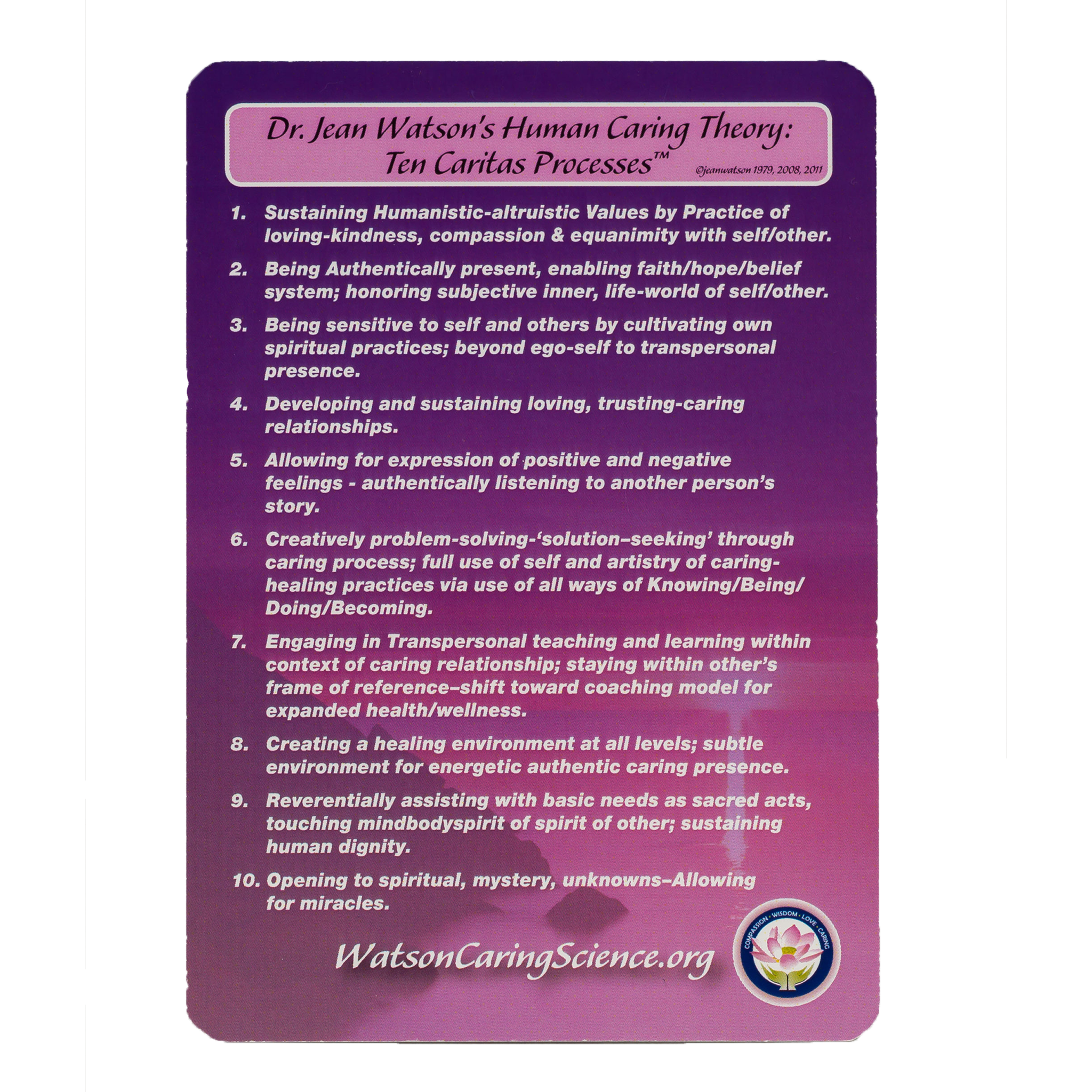 Ten Caritas Processes® Poster