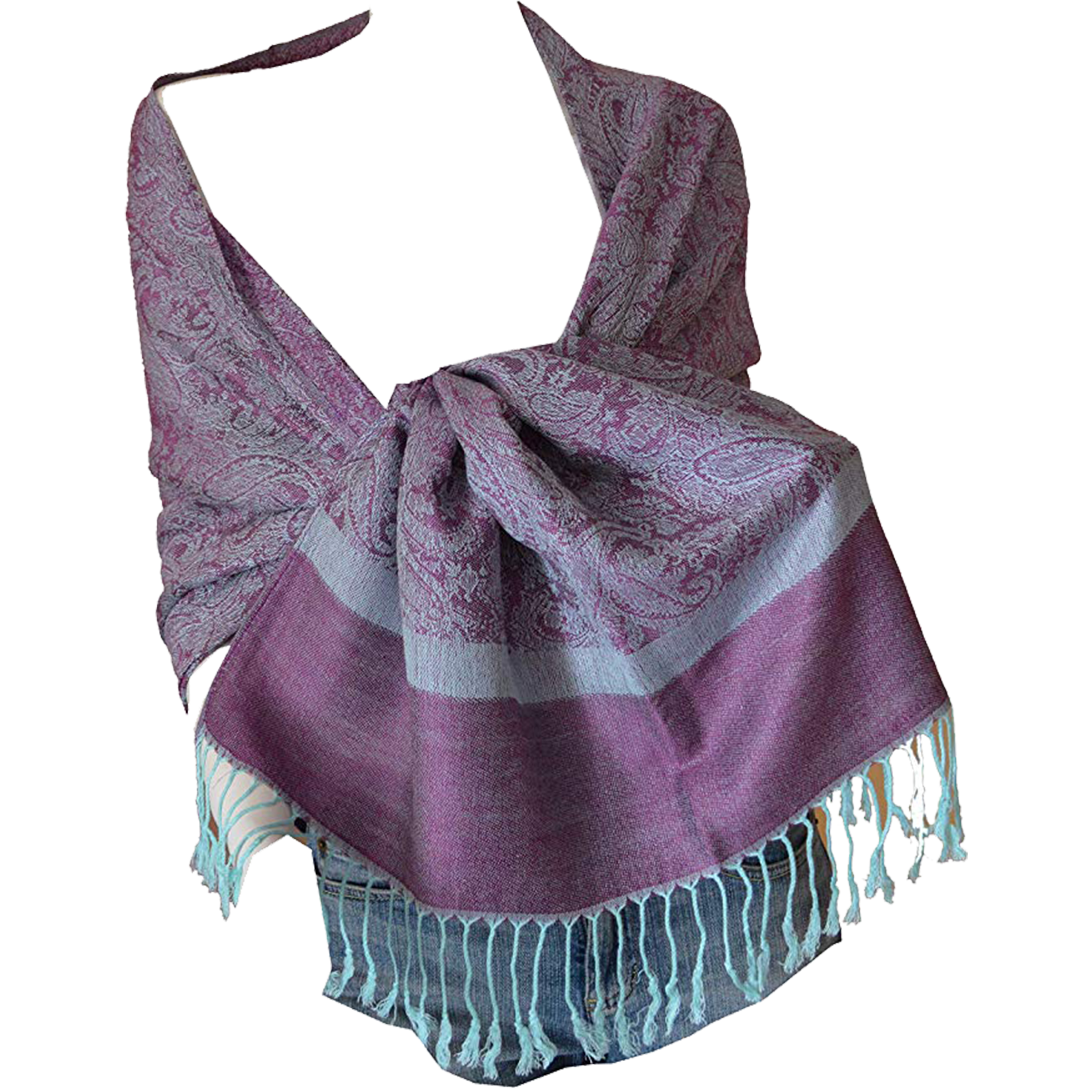Pashmina Shawls